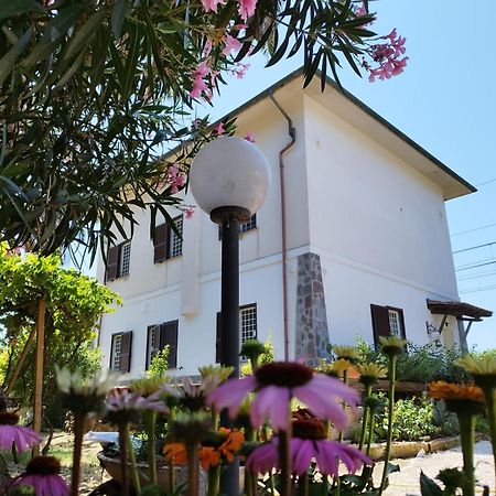 La Domus Di Cosa Panzió Ansedónia Kültér fotó